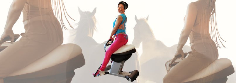 Массажер-наездник Takasima Slim Rider Sky-007