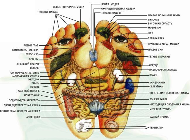 Массажер для ног iRest SL-C22B