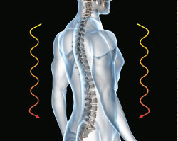 Мобильное массажное кресло (массажная накидка) OGAWA estilloPRIME OZ0968