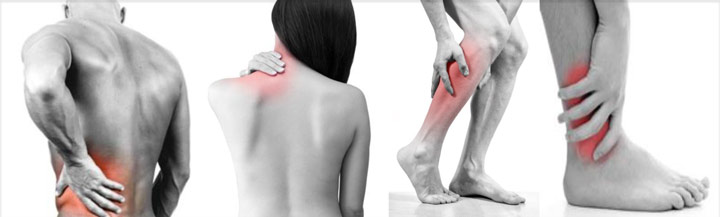 Массажная подушка OGAWA OL1338 Mobile Shiatsu GC