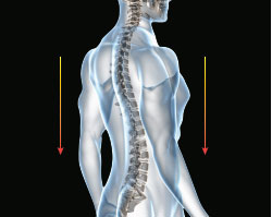 Мобильное массажное кресло (массажная накидка) OGAWA estilloPRIME OZ0968
