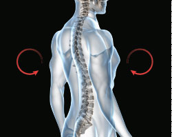 Мобильное массажное кресло (массажная накидка) OGAWA estilloPRIME OZ0968